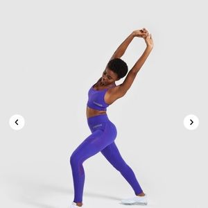 Geo Mesh gymshark set